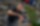 Interview mit Romano Patt