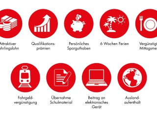 Warum d EMS dr perfekti Lehrbetrieb für di isch!